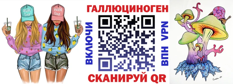 Галлюциногенные грибы Psilocybine cubensis  Томилино 